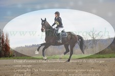 ref. photo 3084077