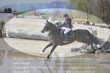 ref. photo 3084084