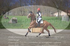ref. photo 3084103