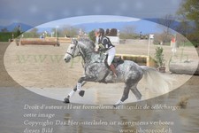 ref. photo 3084135