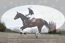 ref. photo 3084148