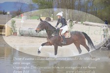 ref. photo 3084153