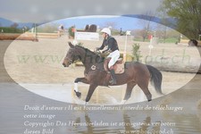 ref. photo 3084154