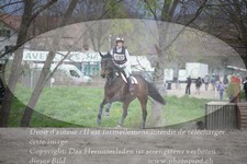 ref. photo 3084179