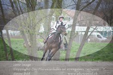 ref. photo 3084180