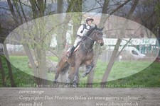 ref. photo 3084181