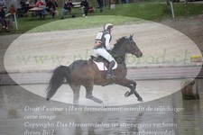 ref. photo 3084184