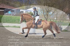 ref. photo 3084205
