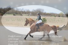 ref. photo 3084218