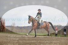 ref. photo 3084234
