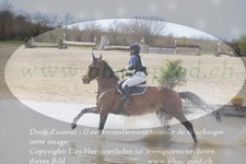 ref. photo 3084248