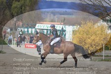 ref. photo 3084255