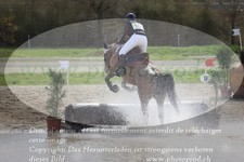 ref. photo 3084261
