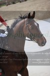 ref. photo 3084312