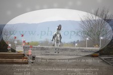 ref. photo 3084323