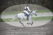 ref. photo 3084331