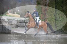 ref. photo 3084351