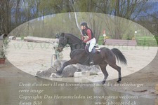 ref. photo 3084386