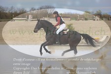 ref. photo 3084389