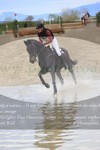 ref. photo 3084397