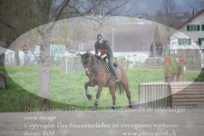 ref. photo 3084401