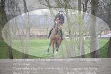 ref. photo 3084403