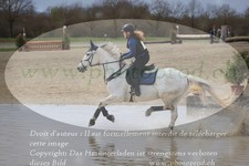 ref. photo 3084431