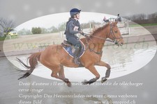 ref. photo 3084448