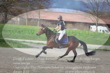 ref. photo 3084490