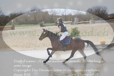 ref. photo 3084494