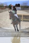 ref. photo 3084520