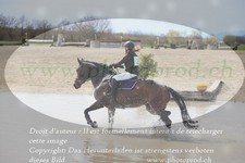 ref. photo 3084522