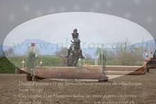 ref. photo 3084535