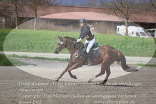 ref. photo 3084545