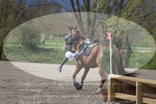 ref. photo 3084548