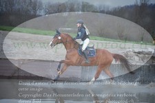 ref. photo 3084552