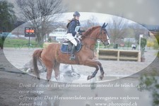 ref. photo 3084558