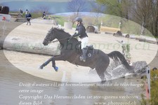 ref. photo 3084569