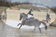ref. photo 3084580