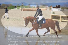 ref. photo 3084593