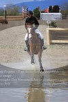 ref. photo 3084603