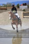 ref. photo 3084604