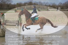 ref. photo 3084635