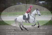 ref. photo 3084732