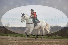 ref. photo 3084745