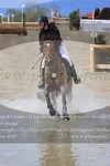 ref. photo 3084778