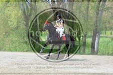 ref. photo 3573066