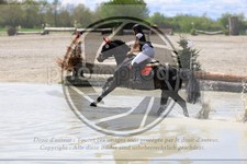 ref. photo 3573069