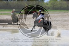 ref. photo 3573070
