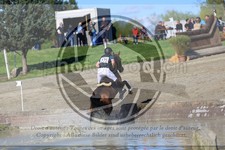 ref. photo 3573091